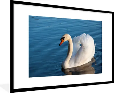 Produktbild von MuchoWow® Gerahmtes Poster Schwan - Wasser - Vogel - Weiß 90x60 cm - Poster mit Schwarzem Bilderrahmen Wandposter Rahmen Foto Bilder - Wanddekoration - Fotos