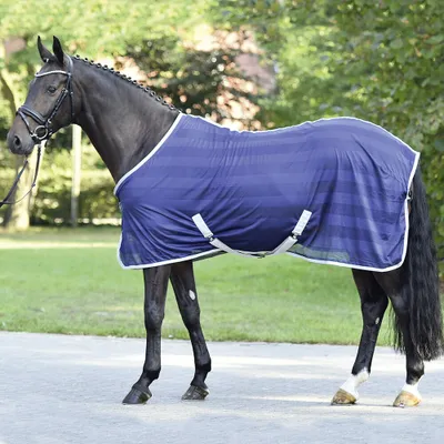 Produktbild von Busse Transport-Fliegendecke STRIPE navy (silber), Busse_17_Groessen:145