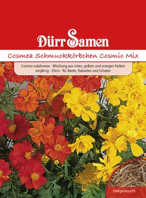 Produktbild von Dürr-Samen - Cosmea Cosmic Mix gelb rote orange Töne einjährig 35 cm - Saatgut - 0984