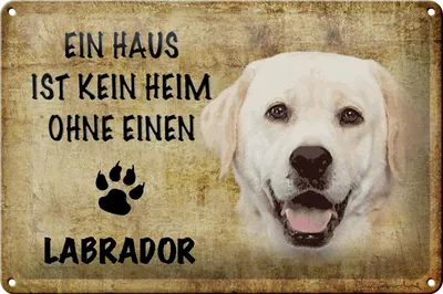 Produktbild von Blechschild Spruch 30x20cm Labrador Hund ohne kein Heim