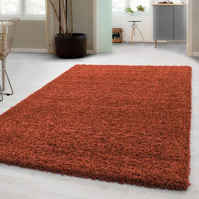 Produktbild von Carpetsale24 Hochflor Teppich Uni Einfarbig Modern Shaggy Teppich Wohnzimmer Flauschig Weich Preishammer, Grösse: 300x400 cm