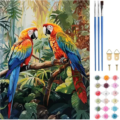 Productafbeelding van Twee vogels schilderen op nummer kits voor volwassenen - Volwassenen schilderen op nummer op canvas kits dieren