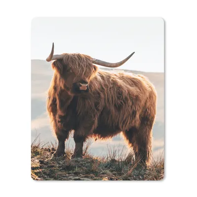 Produktbild von MuchoWow® Mauspad Mousepad Schottische Highlander - Tiere - Ländlich - Landschaft - Kuh - Natur 30x40 cm - Mousepads - Maus Mat - Pad - Mausunterlage - Mausmatten