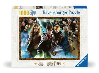 Image de L'élève sorcier Harry Potter Ravensburger 12000463