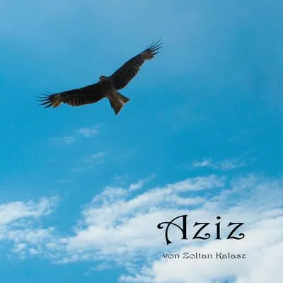 Zdjęcie produktu dla Aziz