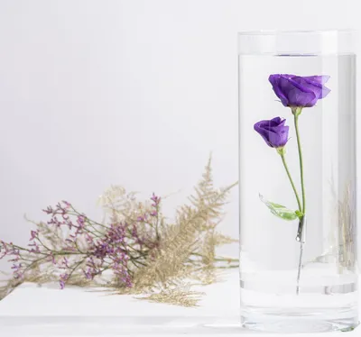 Produktbild von Unterwasserblumenvase M, 2,8 l Esschert Design