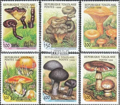 Produktbild von Briefmarken Togo 1999 Mi 2816-2821 (kompl.Ausg.) postfrisch Pilze aus aller Welt