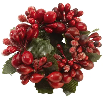 Obrázek produktu pro Villeroy & Boch, sada ubrouskových kroužků "S WintCollAcc", červená, motiv bobulí, 35-9391-0012, EAN: 4003686378858