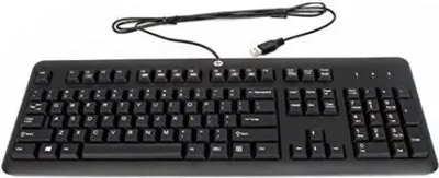 Zdjęcie produktu dla HP 672647-333, Pełnowymiarowy (100%), Przewodowa, USB, Mechaniczna, Czarny