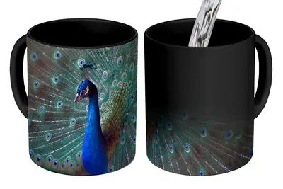 Obrázek produktu pro MuchoWow® Kouzelný pohár Peacock - Peří - Barvy 350 ml Barva měnící se pohár Dárkový nápad - foto hrnek
