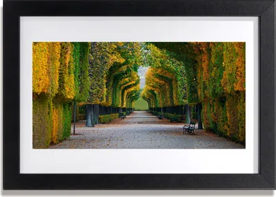 Produktbild von Bild 30x20 MDF-Rahmen Wandkunst Park Herbst Garten Natur