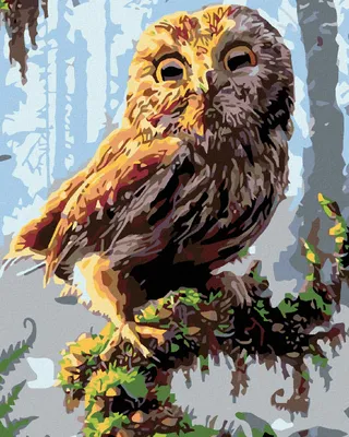 Produktbild von Diamondi - Diamond painting - KLEINE EULE, 40X50 cm, ohne Keilrahmen