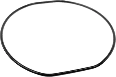 Produktbild von Casio Packing O-Ring | Dichtungsring Gummi schwarz WVA-107 WVA-109