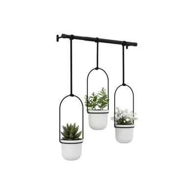 Three hanging planters with plants on a white background.