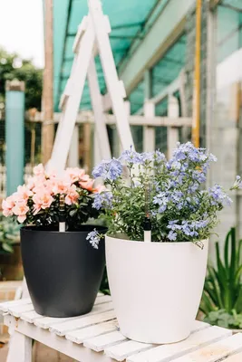 Immagine prodotto di Vaso da fiori autoinnaffiante 22 cm - bianco - set di 4 con indicatore d'acqua - fioriera con serbatoio d'acqua per interni ed esterni