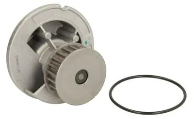 Produktbild von THERMOTEC Kühlmittelpumpe Wasserpumpe für VW GOLF VI (5K1) D1W058TT