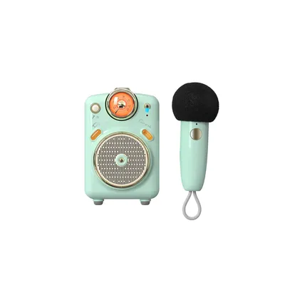 Produktbild von DIVOOM Fairy-OK BT Lautsprecher mit Mikro grün