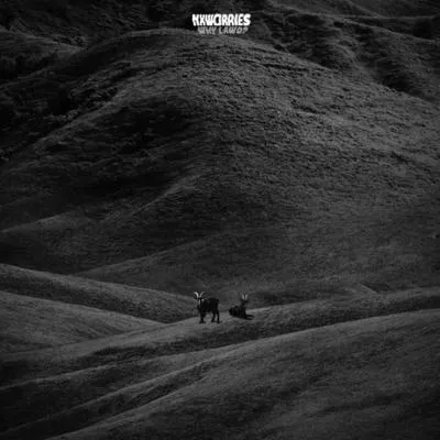 Produktbild von NxWorries (Anderson. Paak & Knxwledge): Why Lawd?