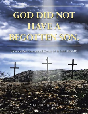 Produktbild von God Did Not Have A Begotten Son.
