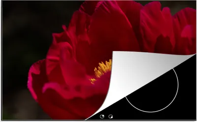 Produktbild von KitchenYeah© Herdabdeckplatte Ein Bild einer roten Pfingstrose , 81x52cm, Küche Deko, Glaskeramikkochfeld Herdabdeckung, Abdeckplatte fùr Kochfeld