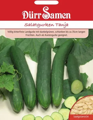 Produktbild von Dürr-Samen - Salatgurken Tanja - Saatgut - 1843