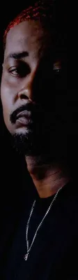 Obrázok produktu pre Danny Brown: Quaranta
