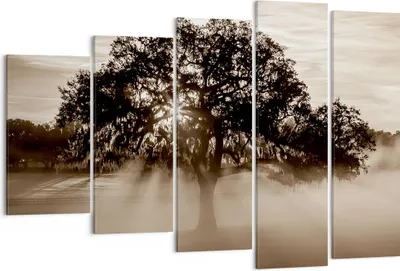Produktbild von Bild auf Leinwand - Leinwandbild - Baum Feld Natur - 150x100cm - Wand Bild - Wanddeko - Wandbilder - Leinwanddruck - Bilder - Kunstdruck - Wanddekoration - Leinwand bilder - Wandkunst - EG150x100-3811