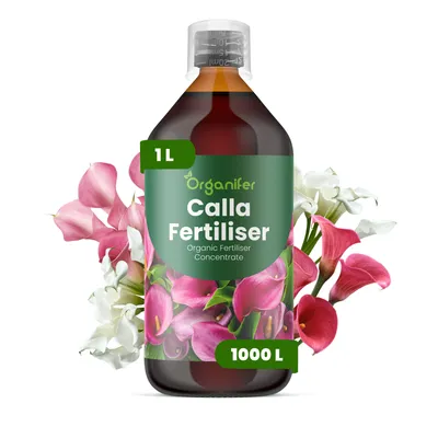 Zdjęcie produktu dla Calla Nawóz Płynny 1 L – 3-4-3 NPK – Do Kvitnúce Rośliny – Do Bujne Kwiaty i Silne Rhizómy – Podporuje Korzenie i Vitalitu – Organifer