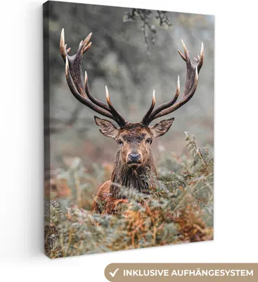Zdjęcie produktu dla MuchoWow® - Obraz na płótnie - Jeleń - Natura - Jesień - Zwierzęta leśne, fototapeta, dekoracja ścienna, obrazy do salonu, 30x40cm