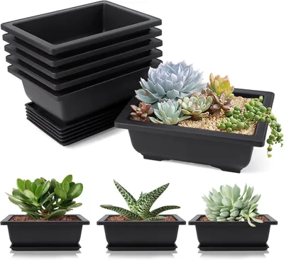 Productafbeelding van 6 Stuks Bonsai Trainingspotten16,5x12x6cm Bonsai schaal met schotels