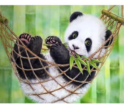 Produktbild von PRACHT CREATIVES HOBBY,KAUFBEU Diamond Painting Panda     0