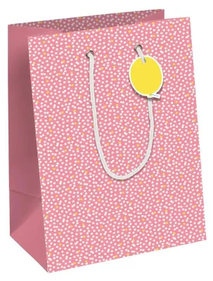 Produktbild von Clairefontaine 32421-3C, Geschenkverpackungstasche, Muster, 210 g/m², 215 mm, 102 mm, 253 mm