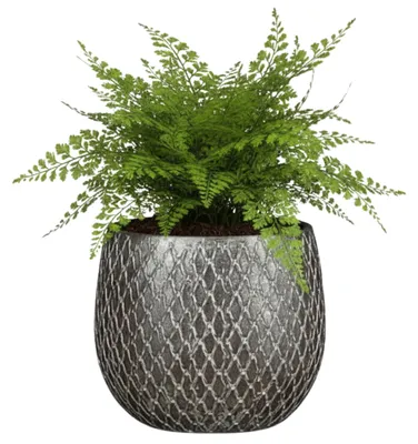 Produktbild von Glimmer Blumentopf / Pflanztopf Madeira - Silber - Terrakotta - 14 cm - Schuppenmuster