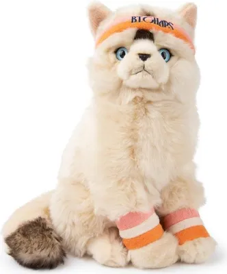 Immagine prodotto di B.T. Chaps Dolly la Ragdoll - 32 cm - 12,5"