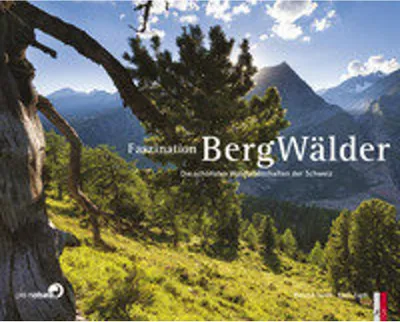 Image de Faszination Bergwälder