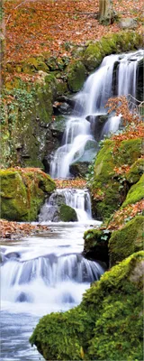 Produktbild von Wallario selbstklebendes Poster - Bach im Wald, Größe: 80 x 200 cm