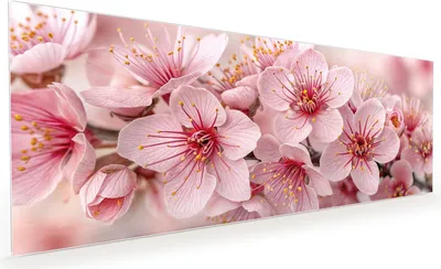 Produktbild von Küchenrückwand Spritzschutz Glas mit Motiv Kirschblütenzweig 40 x 40 cm