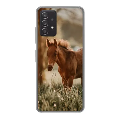 Produktbild von MuchoWow® Handyhülle Schutzhülle Hülle für Samsung Galaxy A33 5G Pferd - Licht - Wiese Silikon Softcase Handy Hülle - Kartenhalter