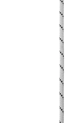 Image de Corde Edelrid Performance Static 9 mm argent 50 m argent 50 m