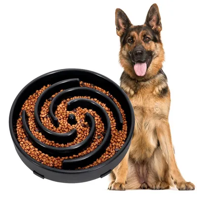 Immagine prodotto di Ciotola per cani, alimentazione lenta, antischling, interattiva, nera, 24,4 cm