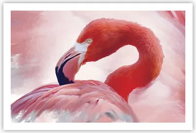 Produktbild von Poster - Poster ohne Rahmen - Flamingo Vogel Porträt - 91,5x61 cm - Wand Bild - Wanddeko - Wandbilder - Kunstposter - Wandposter - Bilder - Kunstdruck - Wanddekoration - Wandbild - P2XAA91x61-4984