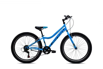 Obrázek produktu pro Dětské kolo CAPRIOLO DIAVOLO 400 24"/12", modro-černé, model 2025