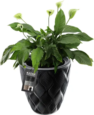 Zdjęcie produktu dla KADAX Donica Doniczka z Wkładem Osłonka Czarna 32,5cm
