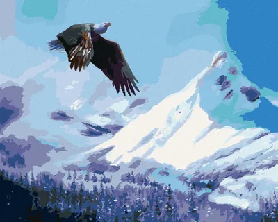 Image de Zuty - Peinture par numéros - AIGLE AU-DESSUS DE L'EAU EN HIVER (D. RUSTY RUST), 40 x 50 cm, toile tendue sur châssis