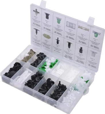 Image de SW-Stahl S8029 Assortiment de clips de fixation 255 pièces