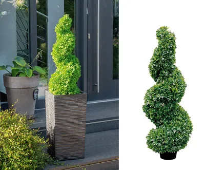 Produktbild von Gilde Getopfte Pflanze, Buchsbaum, "Twist", Kunststoff, grün, VE 1, H. 90 cm, D. 30 cm 59481 4042911873942