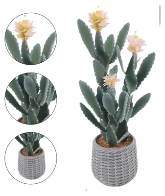 Immagine prodotto di Pianta di cactus artificiale, alta 91 cm, con texture realistica, di colore rosa chiaro