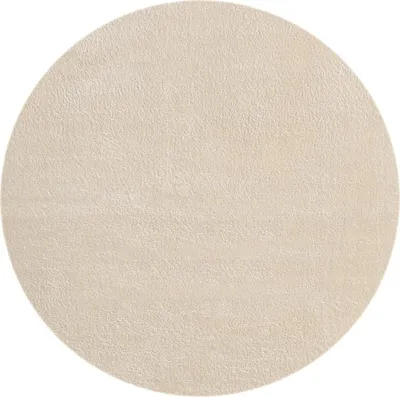 A circular rug on a white background.