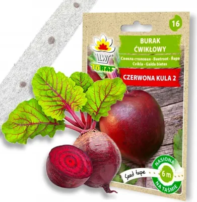 Produktbild von Červená repa na páske Páska na semená červenej repy Semená červenej repy 6M