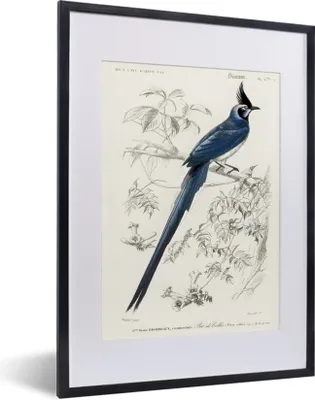 Produktbild von MuchoWow® MuchoWow® Gerahmtes Poster Vogel - Vintage - Zweig 30x40 cm - Poster mit zchwarzem Bilderrahmen - Wandposter Schlafzimmer